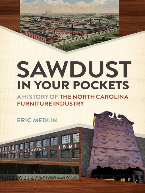 Title details for Sawdust in Your Pockets by Eric Medlin - Available